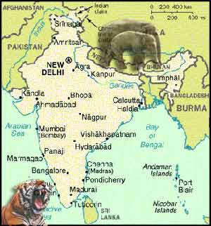 Punaise rouge pointant sur l'emplacement de l'Inde carte du monde